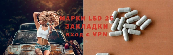 крисы Алзамай