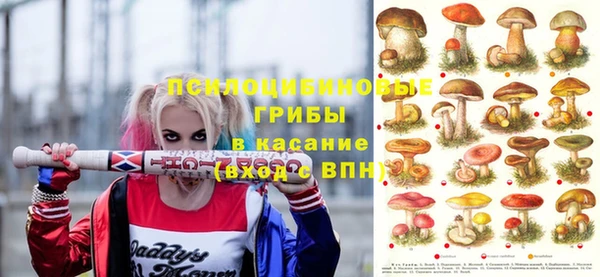 каннабис Аркадак