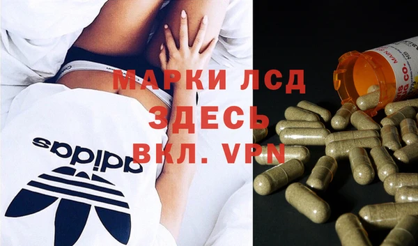 каннабис Аркадак