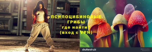 бутират Алексин