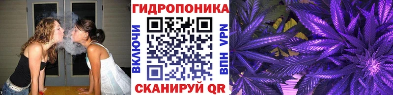 как найти закладки  кракен ссылки  Бошки марихуана AK-47  Александровское 